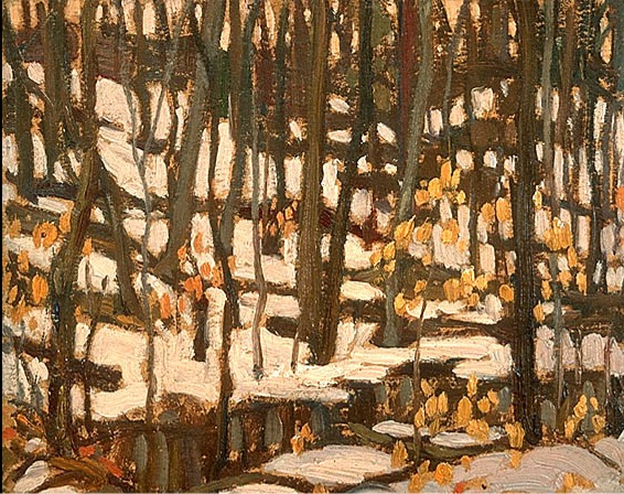 Grey Day in the Woods