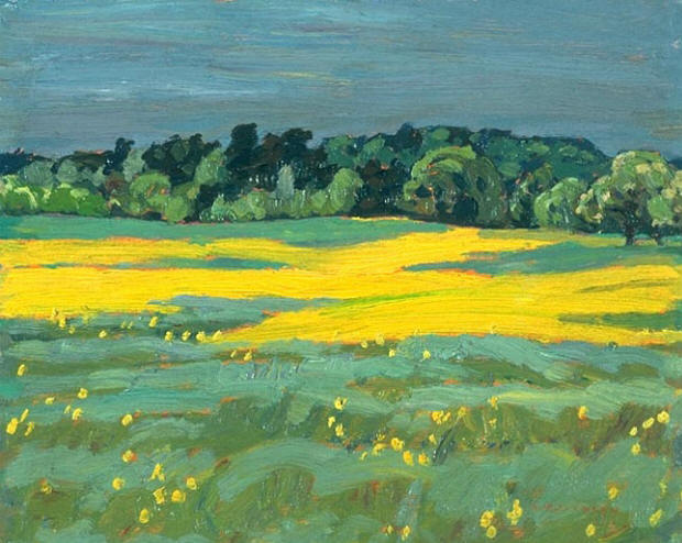 Wild Mustard Brookville
