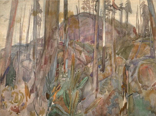 Mountain Woods British Columbia