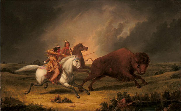Hunting Buffalo